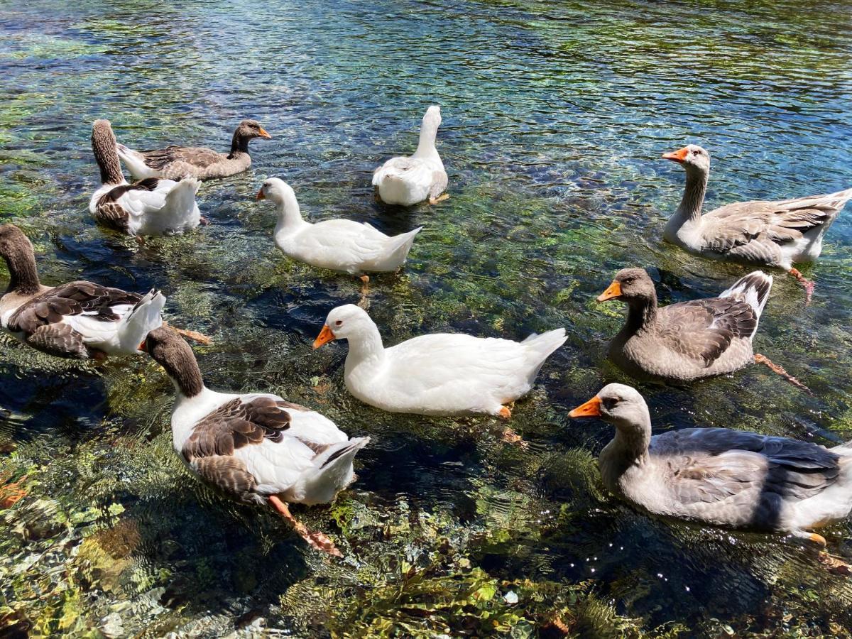 Portofino Boutique Hotel Akyaka  Eksteriør bilde